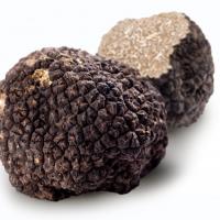 truffe-noire-copy