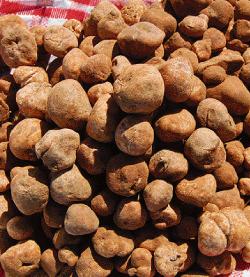 3-Truffes rouges :